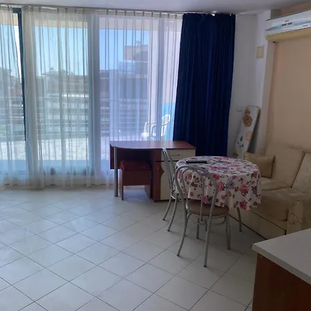 голямо и просторно студио * 阳光海滩