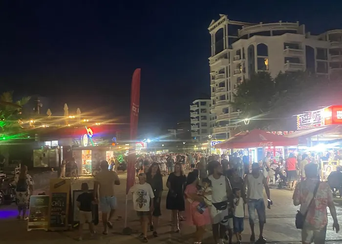 голямо и просторно студио Apartment