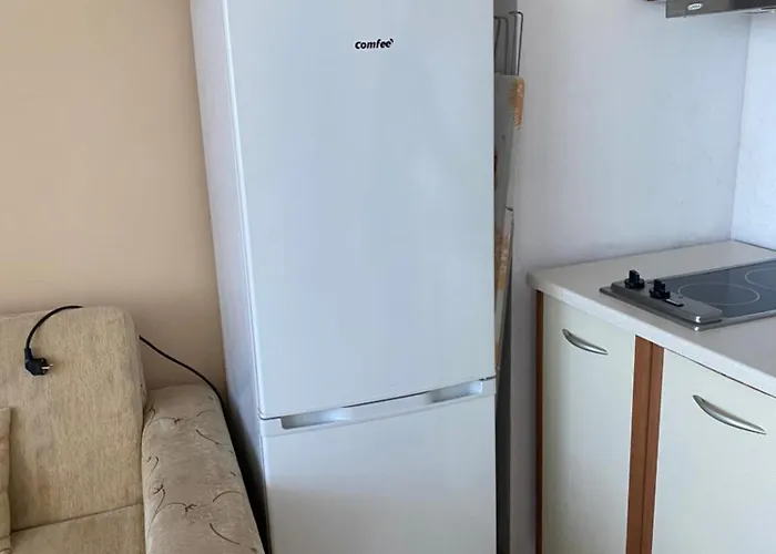 голямо и просторно студио Apartment